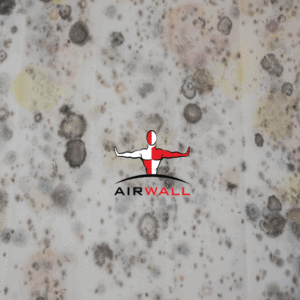 mold spores on a white wall with the airwall logo