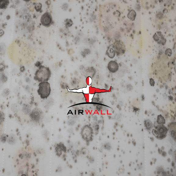 mold spores on a white wall with the airwall logo